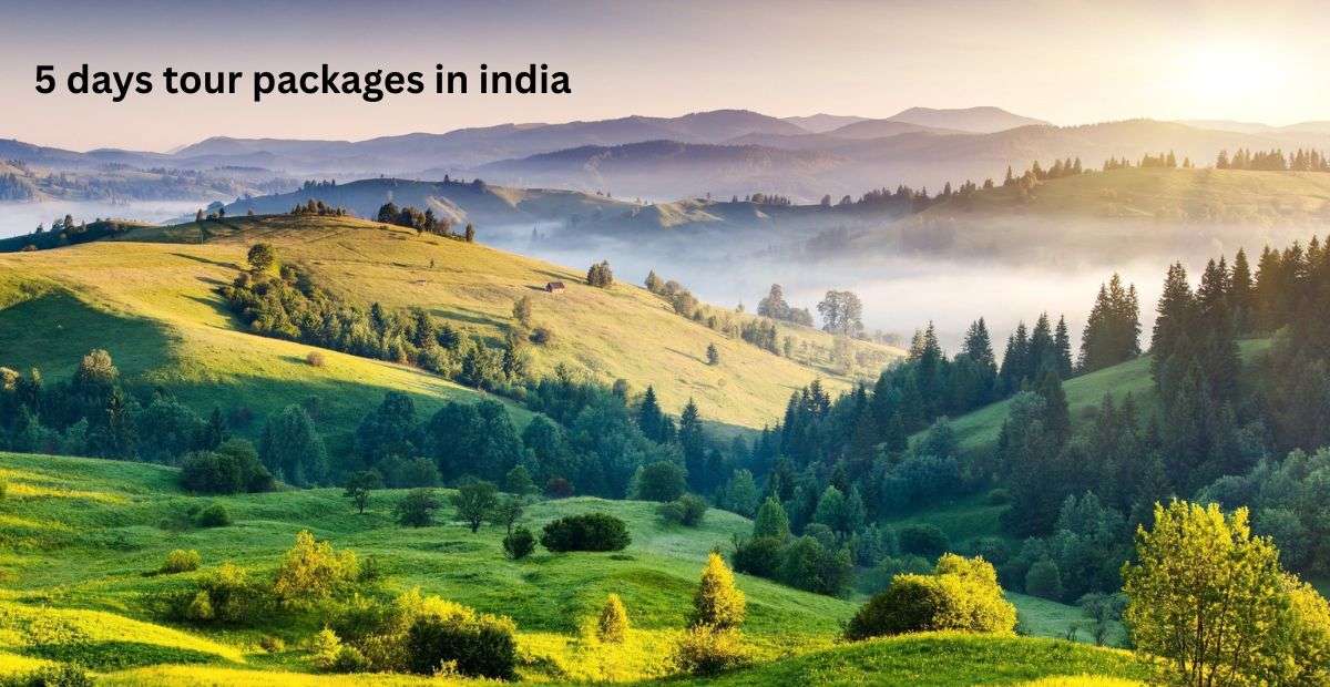 5 days tour packages in india