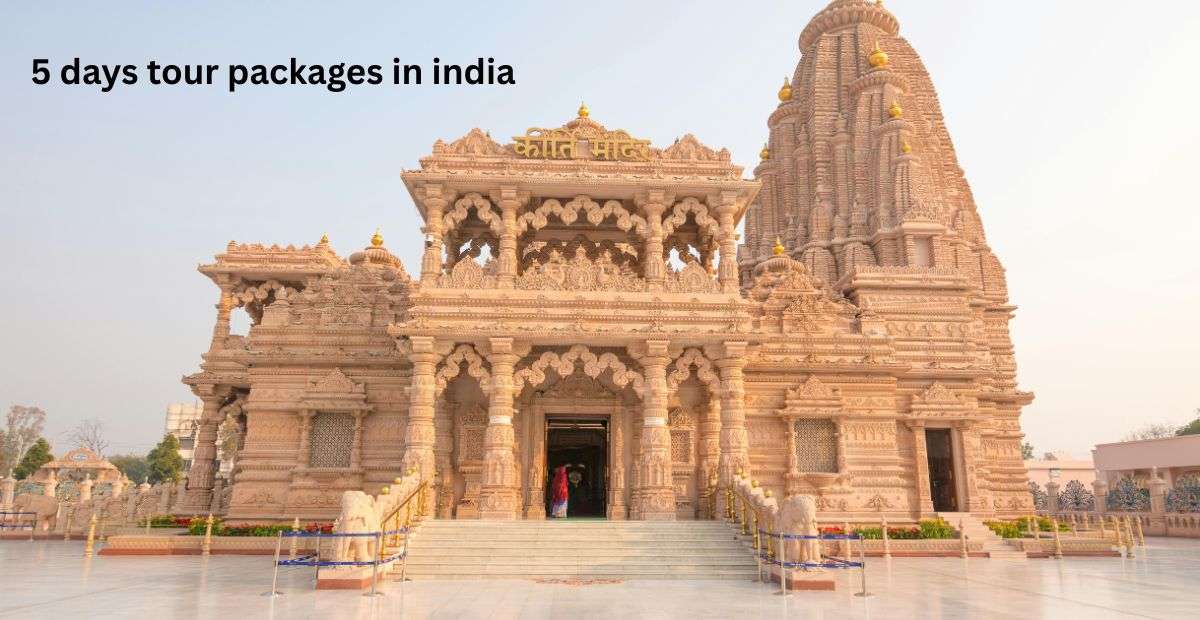 5 days tour packages in india