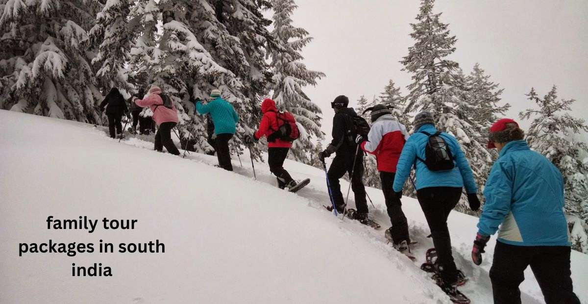 family tour packages in south india