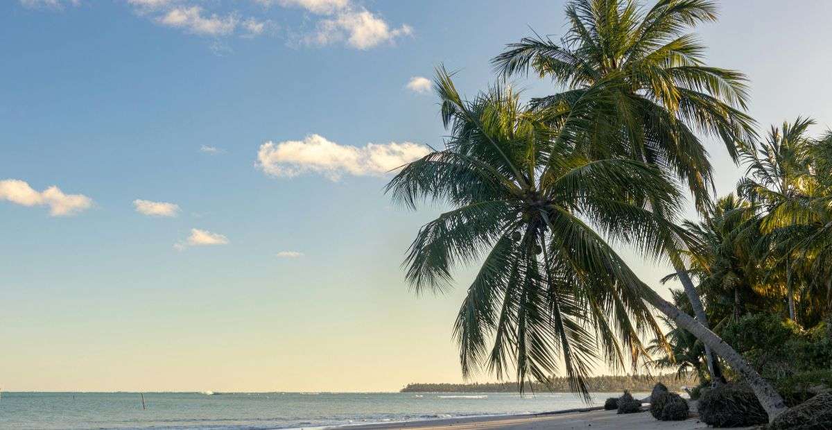 brazil vacation packages